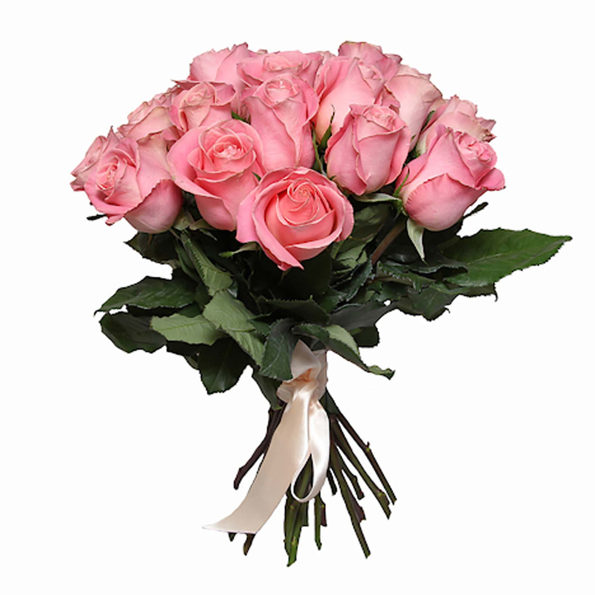 Pink roses delivery from PetalPop.ae – Beautiful floral arrangements across UAE