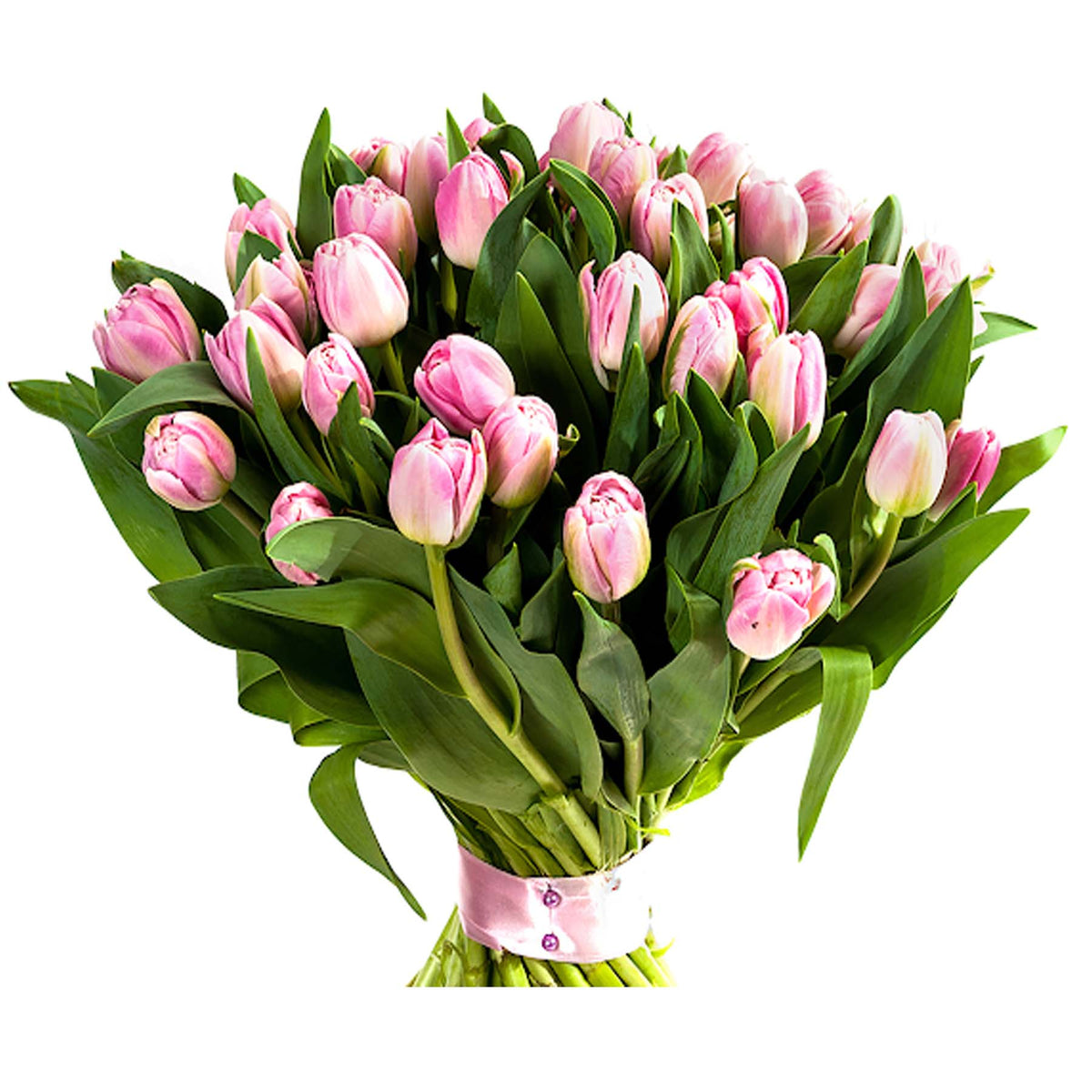 Tulips from PetalPop.ae – Fresh and elegant floral arrangements available in UAE